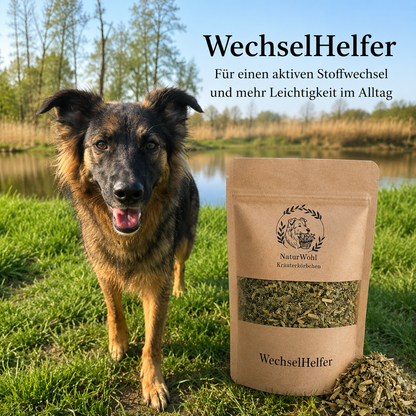 WechselHelfer