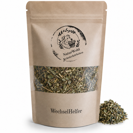 WechselHelfer
