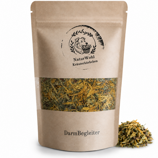 DarmBegleiter