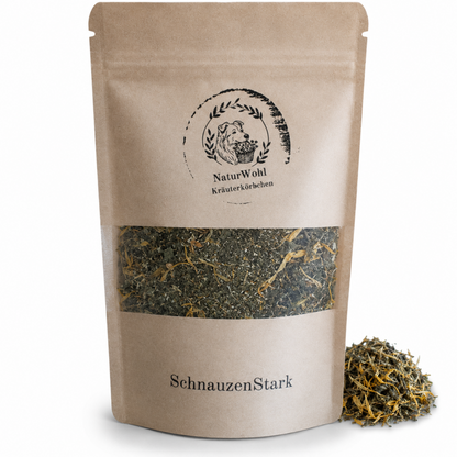 SchnauzenStark