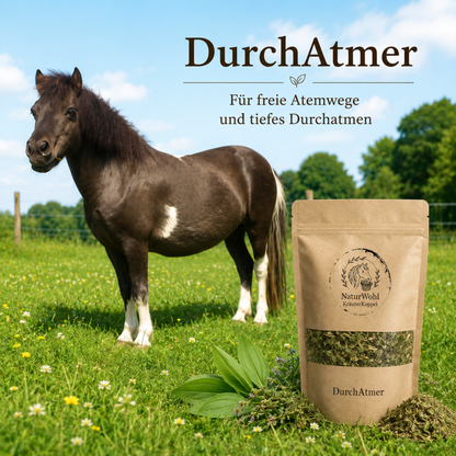 DurchAtmer