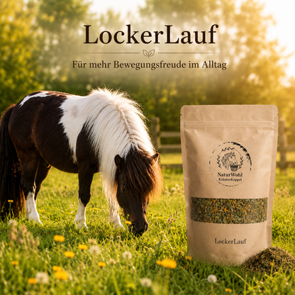 LockerLauf