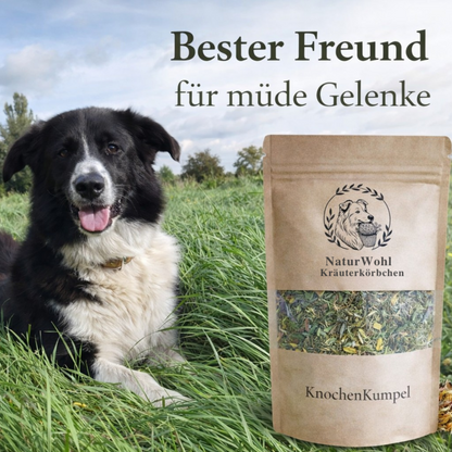 KnochenKumpel
