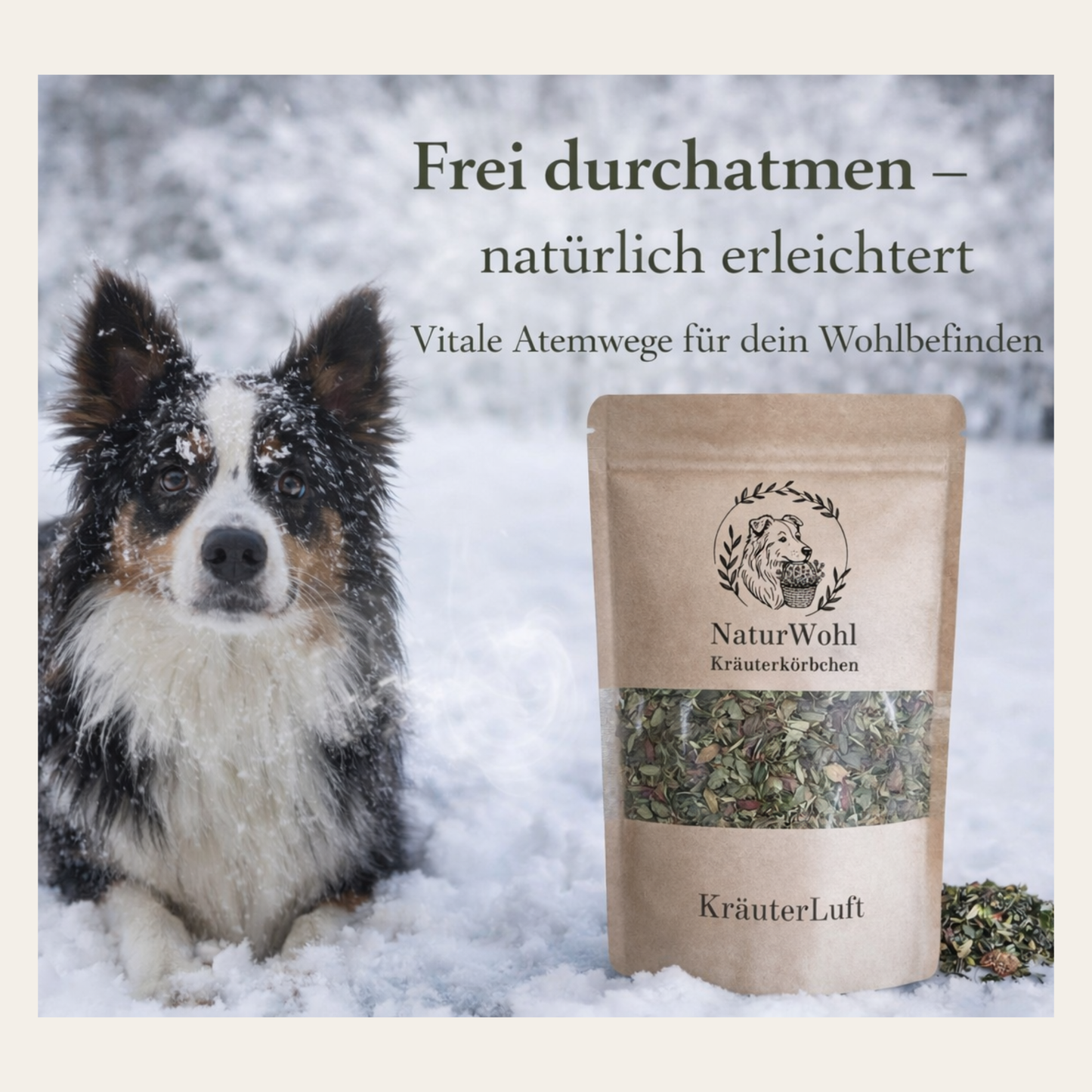 KräuterLuft