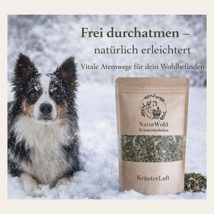KräuterLuft