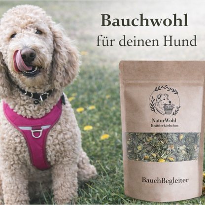BauchBegleiter
