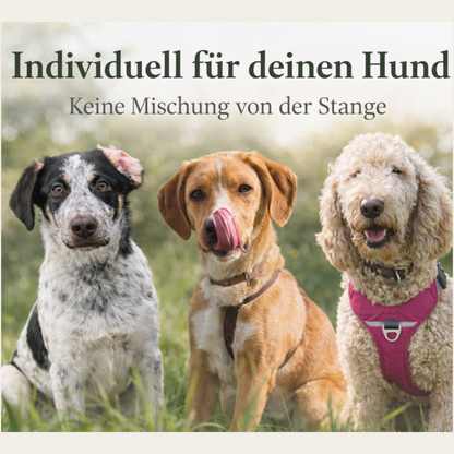 Dein KräuterUnikat