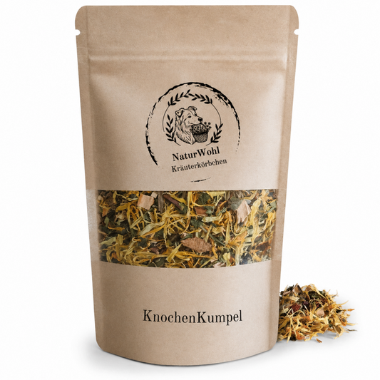 KnochenKumpel