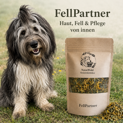 FellPartner